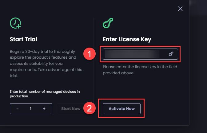 Entering the license key into the 'Enter License Key field' and clicking 'Activate Now'