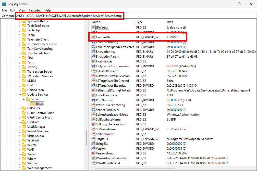 WSUS ContentDir Value