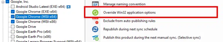 Override Win32 Application Options