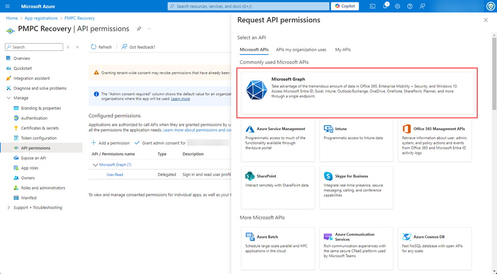 Clicking 'Microsoft Graph'